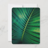 グリーンリーフパームフォンドクローズアップフォト結婚ズ 出欠カード (裏面)