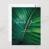 グリーンリーフパームフォンドクローズアップ写真ありがとう ポストカード (正面/裏面)