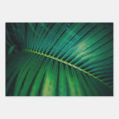 グリーンリーフパームフォンド熱帯自然写真 ラッピングペーパーシート (正面2)