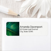 グリーンリーフパームフォンド熱帯自然写真 ラベル (インサイチュ)