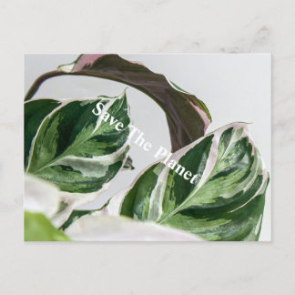 グリーンリーフ惑星サバ ポストカード
