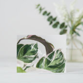 グリーンリーフ惑星サバ ポストカード (スタンド正面)