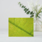 グリーンリーフ植物学自然撮影 ポストカード (スタンド正面)