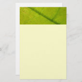グリーンリーフ植物学自然撮影 便箋 (正面/裏面)