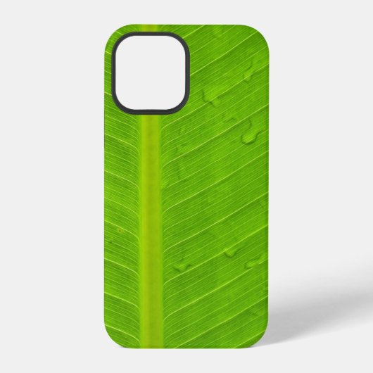 グリーンリーフ水滴 iPhoneケース (裏面)
