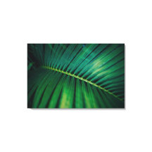 グリーンリーフ熱帯林自然写真