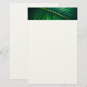 グリーンリーフ熱帯林自然写真 便箋 (正面/裏面)