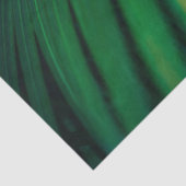 グリーンリーフ熱帯林自然写真 薄葉紙 (詳細)