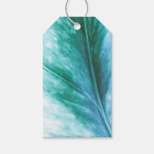 グリーンリーフ自然写真 ギフトタグ (正面)