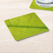 グリーンリーフ自然撮影 スクエアペーパーコースター (アングル)