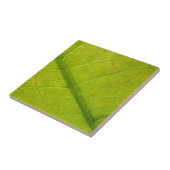 グリーンリーフ自然撮影 タイル (側面)