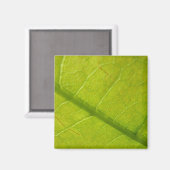 グリーンリーフ自然撮影 マグネット (正面/裏面)