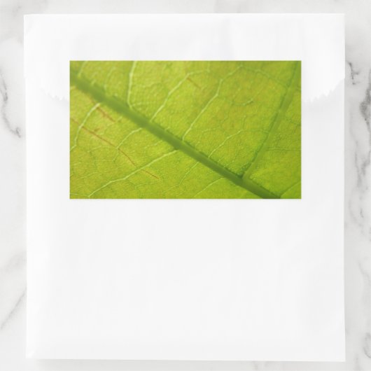 グリーンリーフ自然撮影 長方形シール (バッグ)