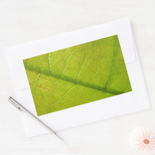 グリーンリーフ自然撮影 長方形シール (封筒)
