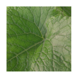 グリーンリーフ静脈詳細 ウッドウォールアート