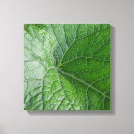 グリーンリーフ静脈詳細 キャンバスプリント