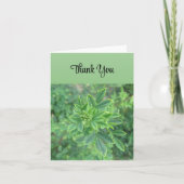 グリーンリーフ – サンキューカード カード (正面)