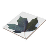 グリーンリーフ タイル (側面)