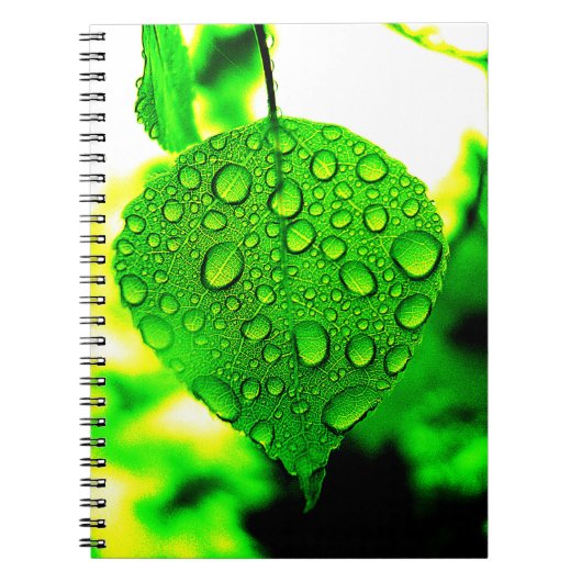 グリーンリーフ ノートブック (正面)