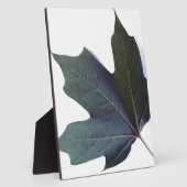 グリーンリーフ フォトプラーク (側面)