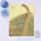 グリーンリーブフライヤー チラシ (シングル)