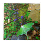 グリーンルナガ タイル (正面)