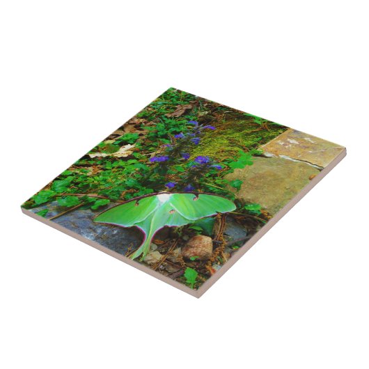 グリーンルナガ タイル (側面)