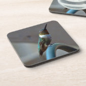 グリーンルビーリトルハミングバード コースター (左側)