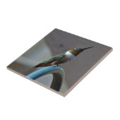 グリーンルビーリトルハミングバード タイル (側面)