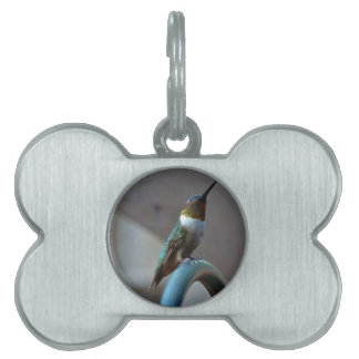 グリーンルビーリトルハミングバード ペットネームタグ