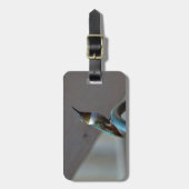 グリーンルビーリトルハミングバード ラゲッジタグ (正面縦)