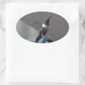 グリーンルビーリトルハミングバード 楕円形シール (バッグ)