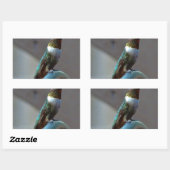 グリーンルビーリトルハミングバード 長方形シール (シート)