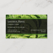 グリーンレタスのクローズアップ写真 – 名刺 (裏面)