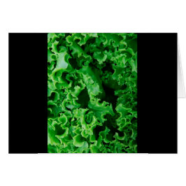 グリーンレタス接写ユニーク