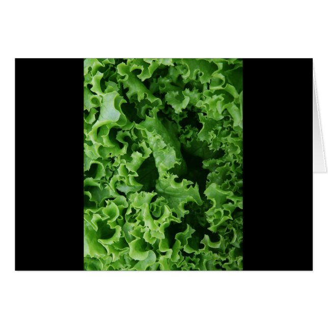 グリーンレタス接写ユニーク (正面横)
