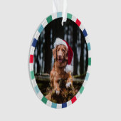 グリーンレッドブルースターバストストライプドッグクリスマス オーナメント (正面)