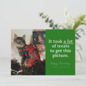 グリーンロットのおすすめハウリデイズペおもしろいット シーズンカード (スタンド正面)