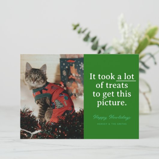 グリーンロットのおすすめハウリデイズペおもしろいット シーズンカード (スタンド正面)