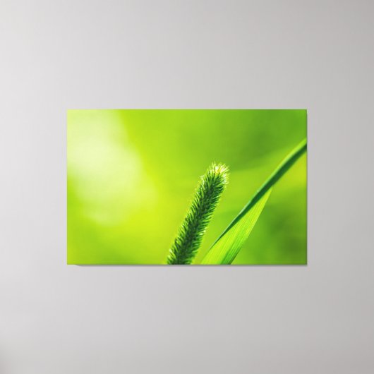 グリーンワールド キャンバスプリント (正面)