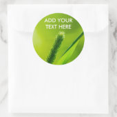 グリーンワールド ラウンドシール (バッグ)