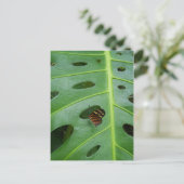 グリーン上で ポストカード (スタンド正面)