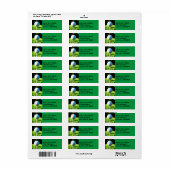 グリーン上のゴルファー住所 シール用ゴルフボール ラベル (フルシート)