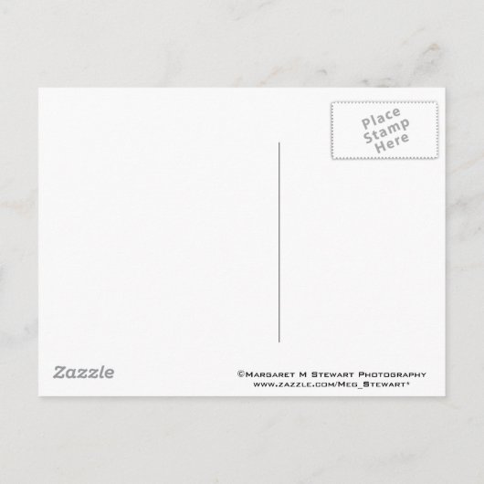 グリーン卒業キャップとタッセル葉書 案内ポストカード (裏面)