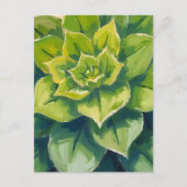グリーン多肉植物の絵 ポストカード (正面)
