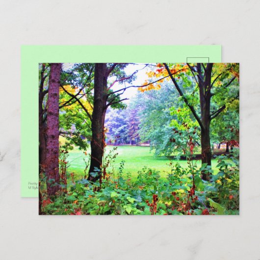 グリーン宇宙ツリーズ自然霧っぽい牧草地 ポストカード (正面/裏面)