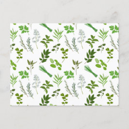 グリーン料理料理ガーデンハーブ シーズンポストカード