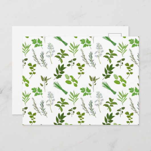 グリーン料理料理ガーデンハーブ シーズンポストカード (正面/裏面)