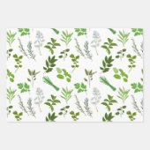 グリーン料理料理ガーデンハーブ ラッピングペーパーシート (正面)