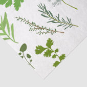 グリーン料理料理ガーデンハーブ 薄葉紙 (詳細)